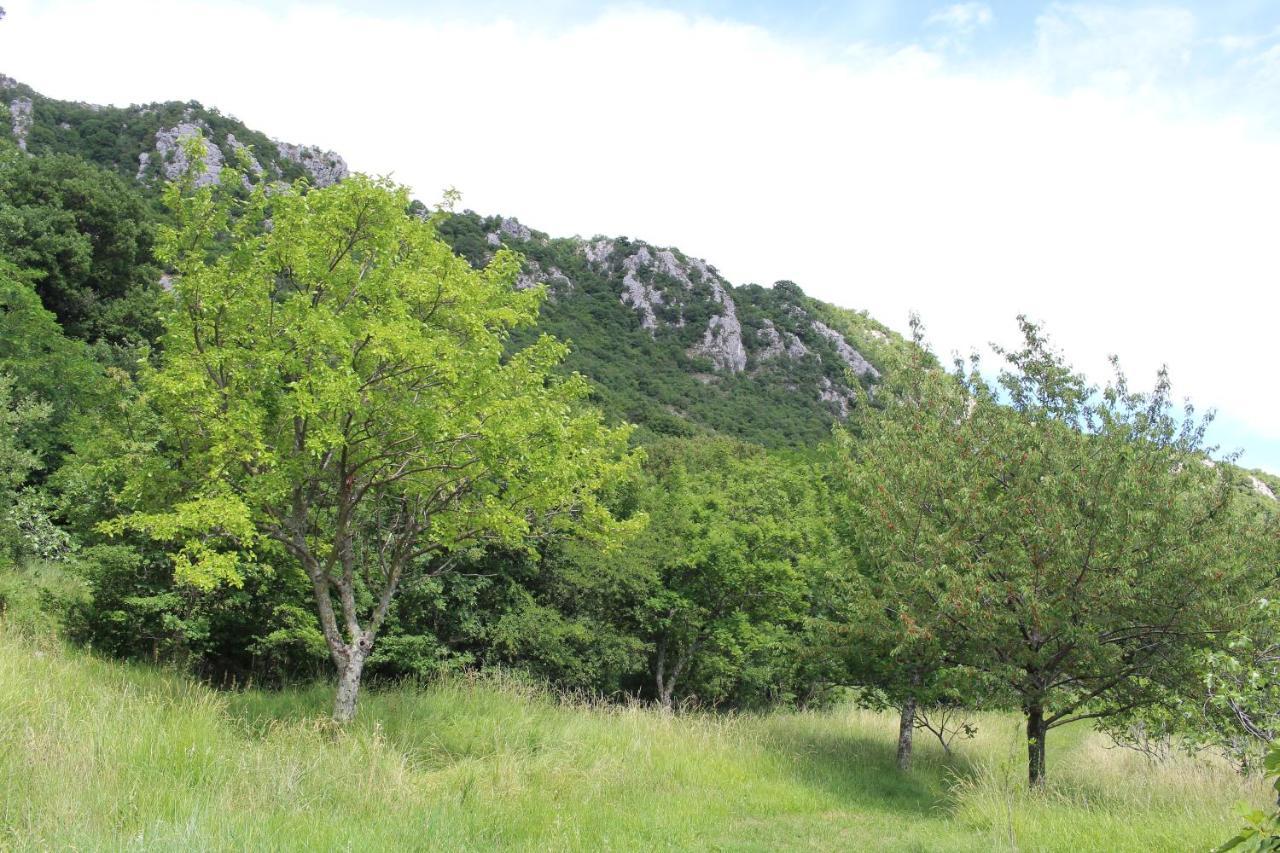 Villa Nona Tamara With Astonishing Sea & Mountains View Bribir  Bagian luar foto